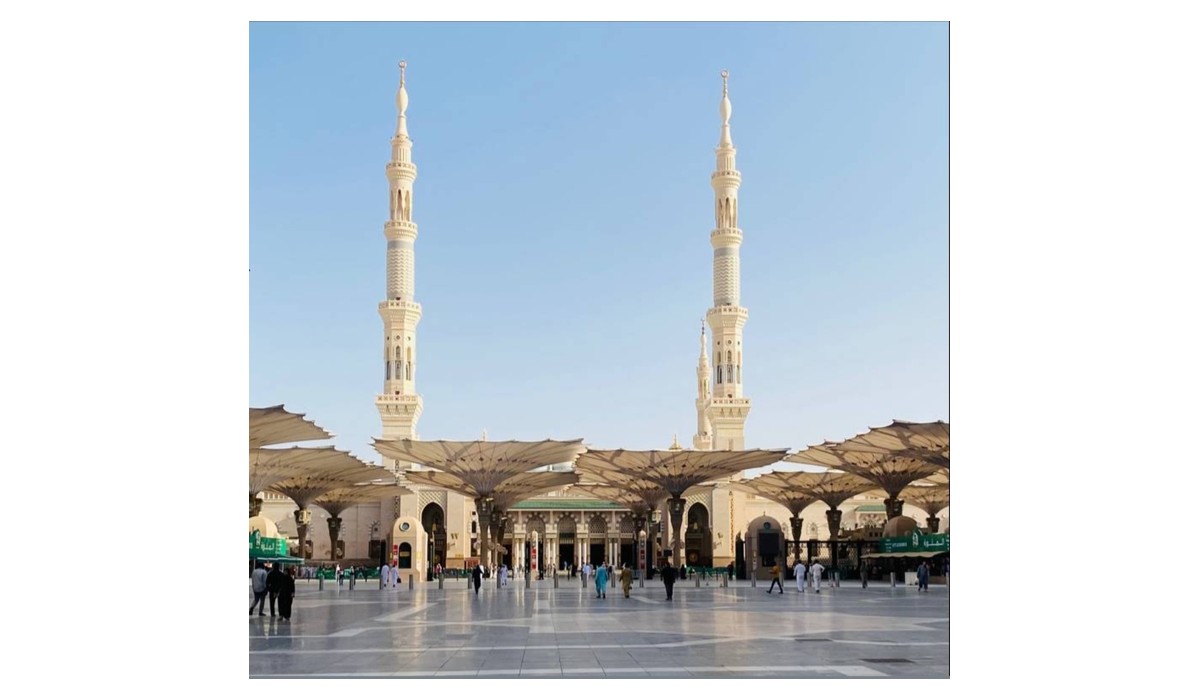 شركة المجال العربي